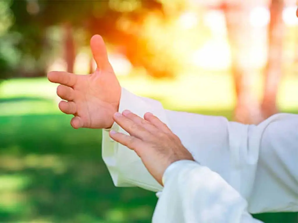 Tai Chi Hands with Sunlight in Background